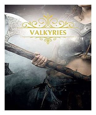 Banner Valkyries